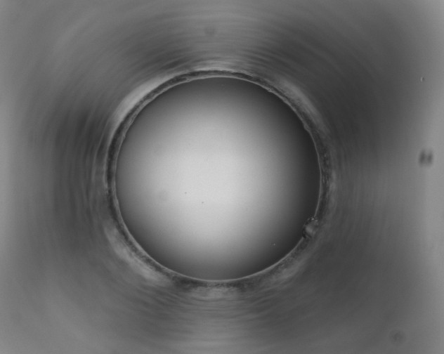 X0000110980884200906191401