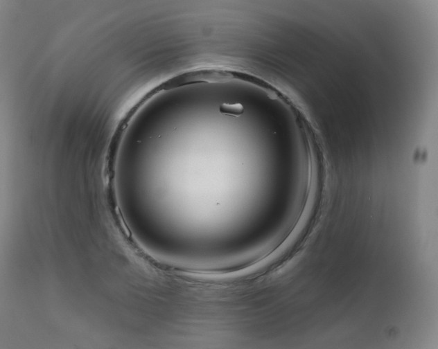 X0000110980885200906191401