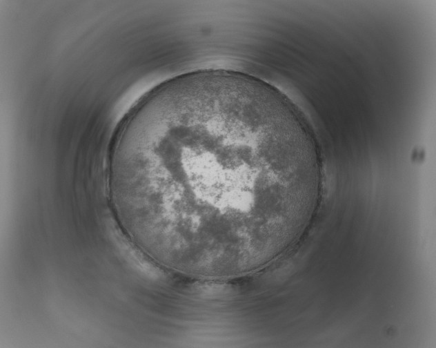 X0000110980886200906191401