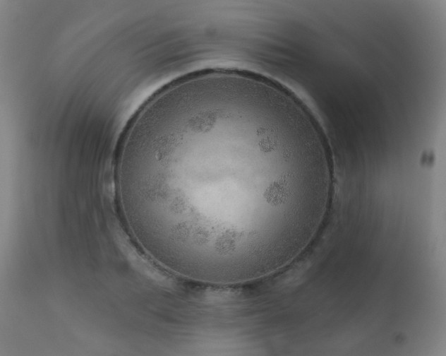 X0000110980887200906191401