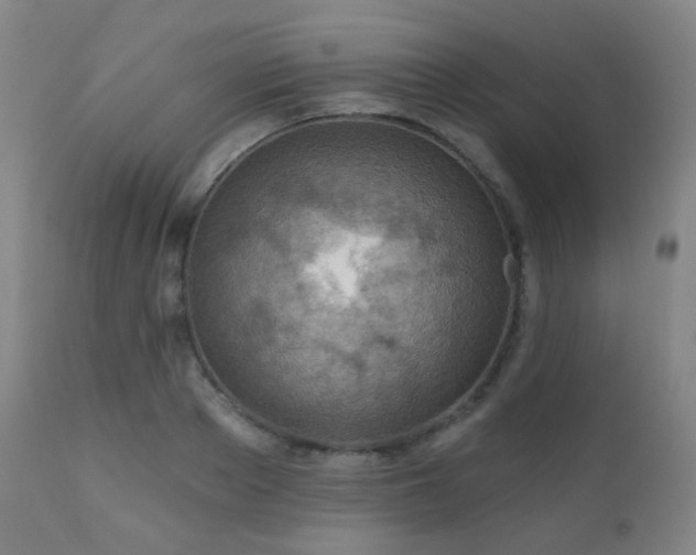 X0000110980889200906191401