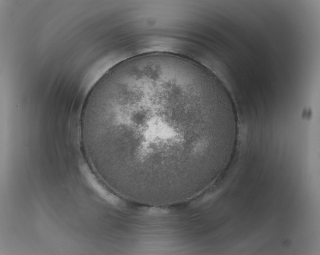 X0000110980890200906191401