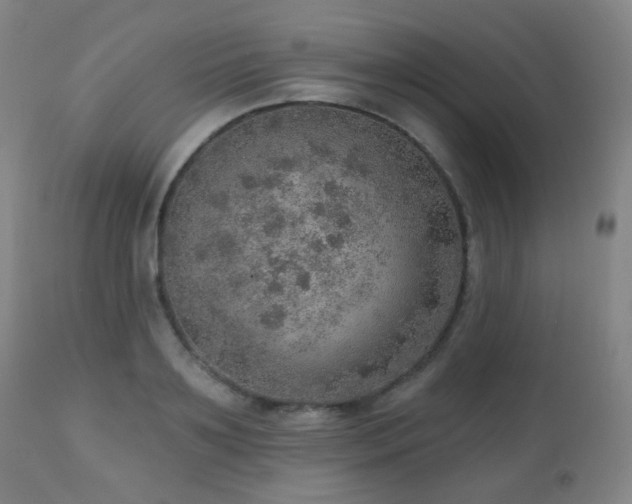 X0000110980891200906191401