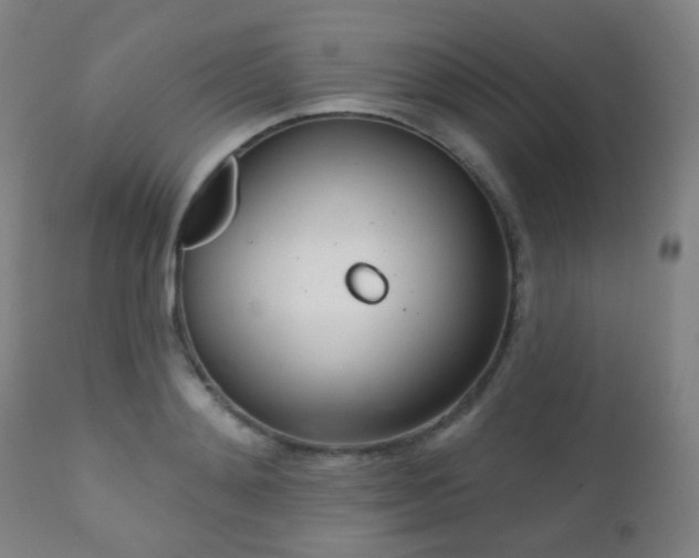 X0000110980892200906191401