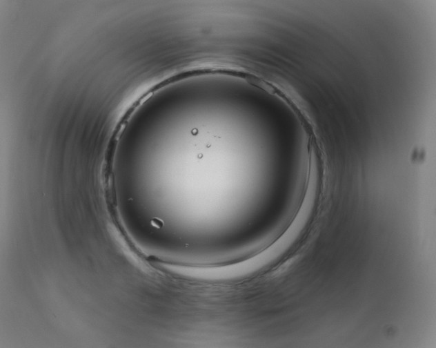 X0000110980893200906191401