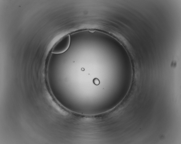 X0000110980894200906191401