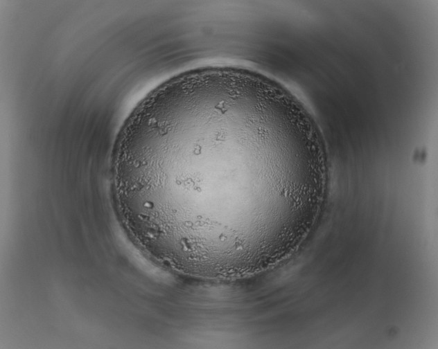 X0000110980895200906191401