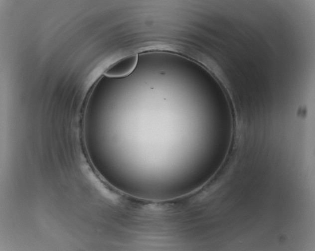 X0000110980898200906191401