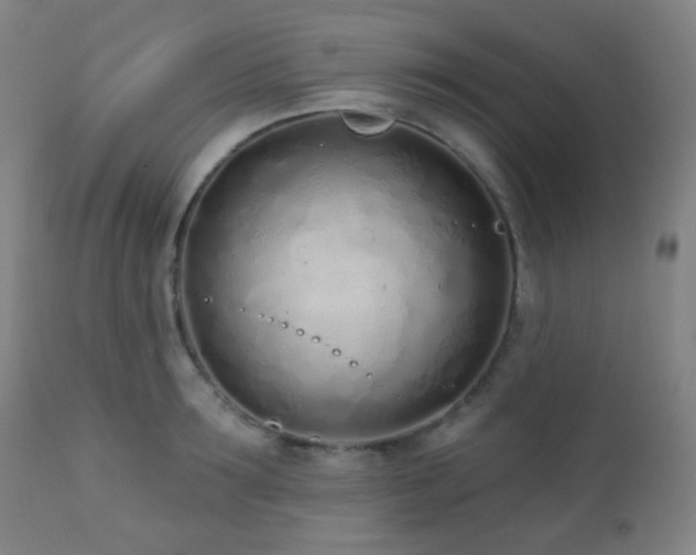 X0000110980899200906191401