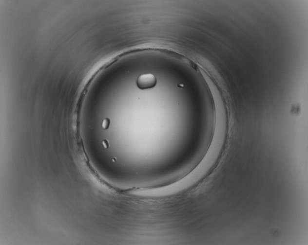 X0000110980900200906191401