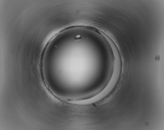 X0000110980901200906191401