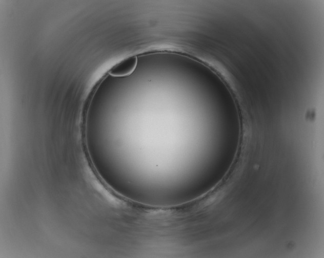 X0000110980902200906191401