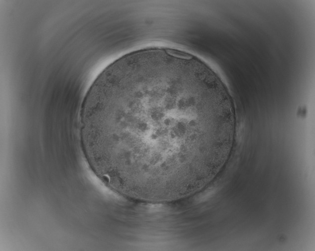 X0000110980903200906191401