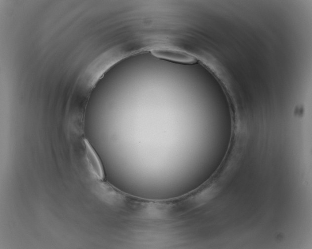 X0000110980905200906191401