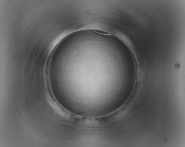 X0000110980907200906191401