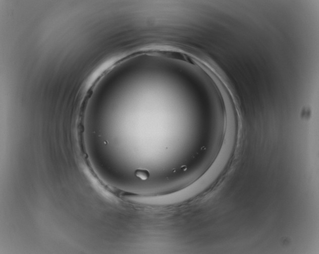 X0000110980909200906191401