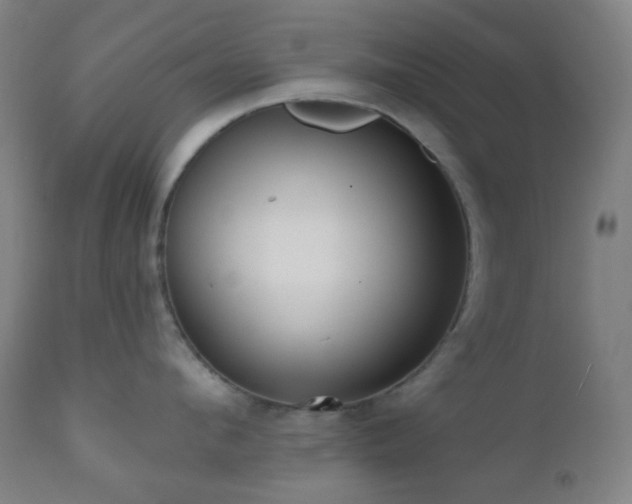 X0000110980912200906191401