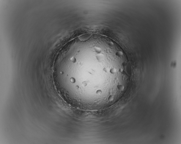 X0000110980913200906191400