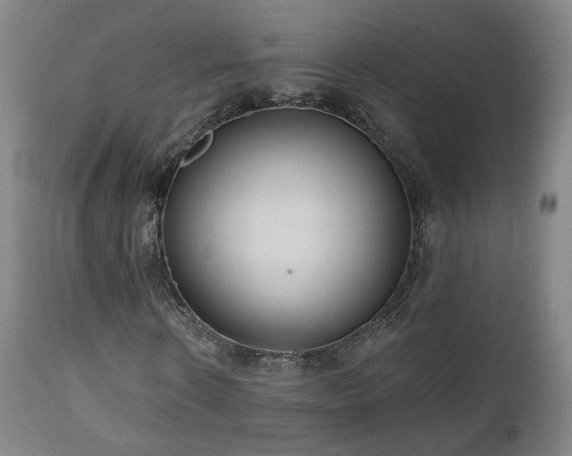 X0000110980914200906191400