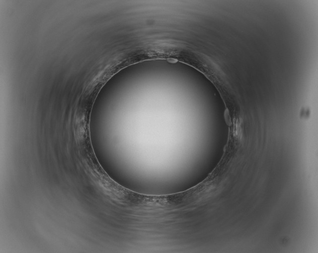 X0000110980915200906191400