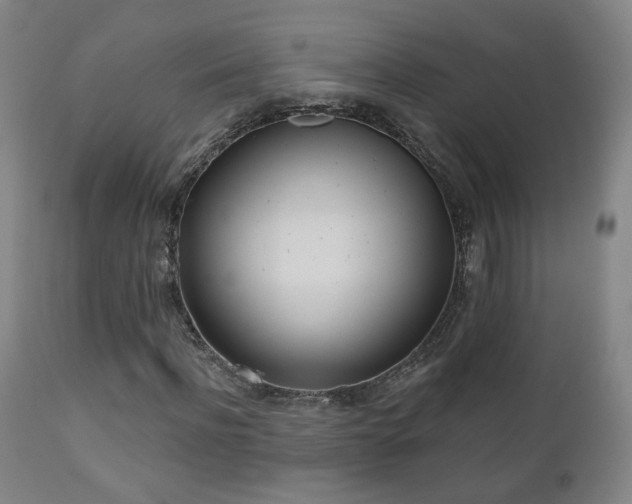 X0000110980916200906191400