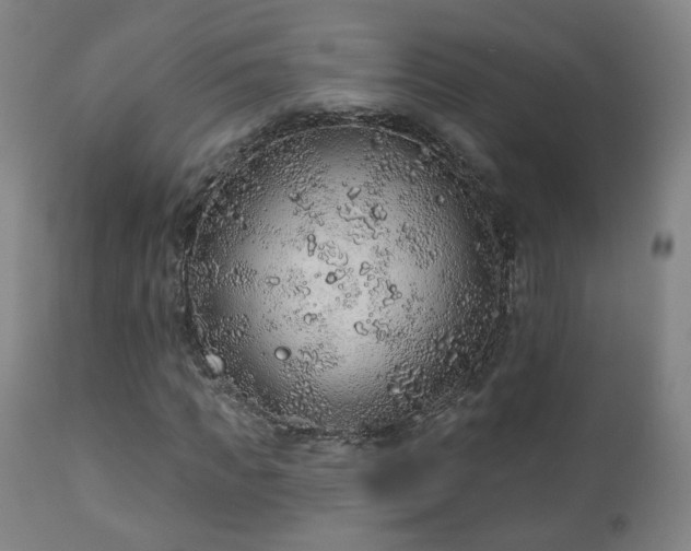 X0000110980917200906191400