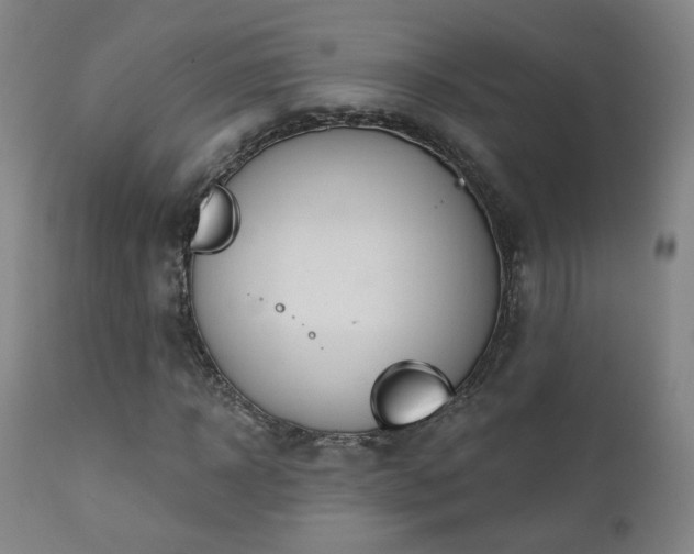 X0000110980918200906191400