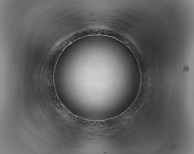 X0000110980919200906191400