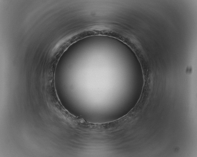 X0000110980920200906191400