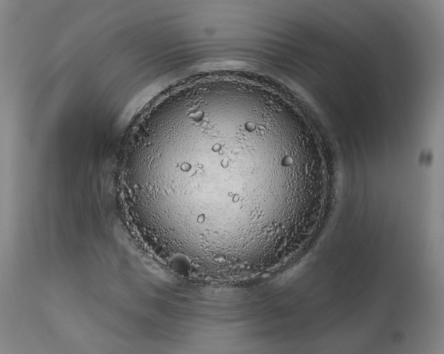 X0000110980921200906191400