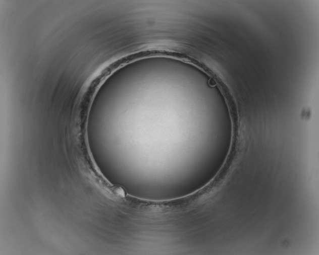 X0000110980923200906191400