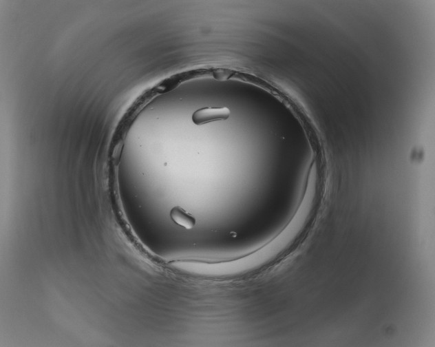 X0000110980924200906191400