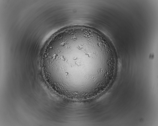 X0000110980925200906191400