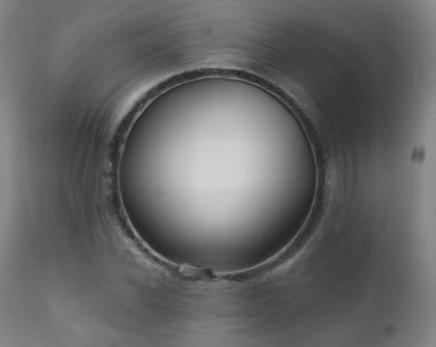 X0000110980926200906191400