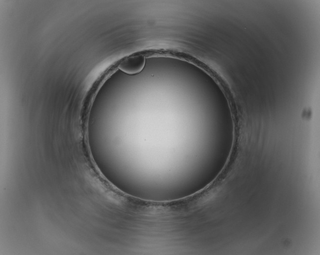 X0000110980927200906191400