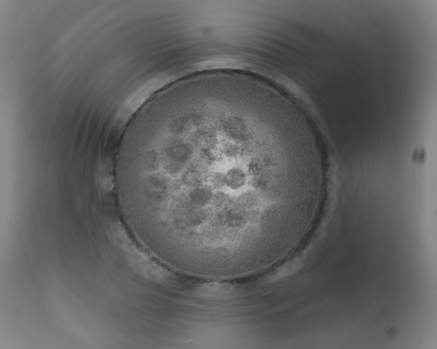 X0000110980929200906191400