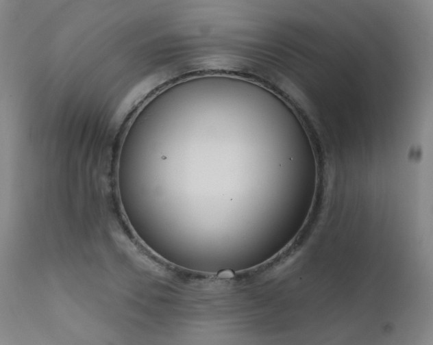 X0000110980930200906191400