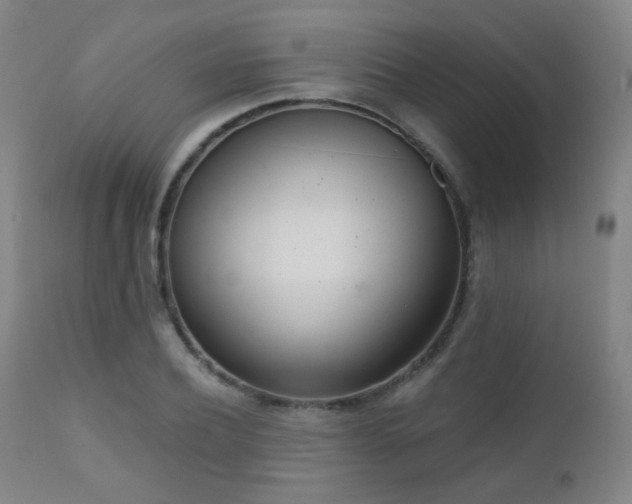 X0000110980932200906191400