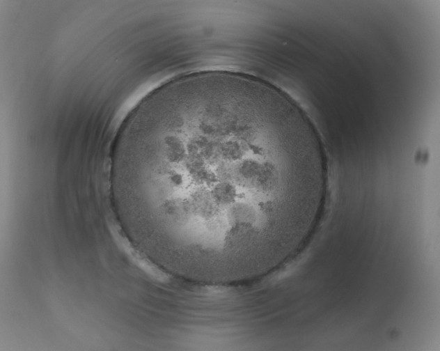 X0000110980933200906191400