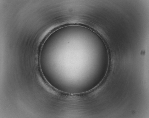 X0000110980934200906191400