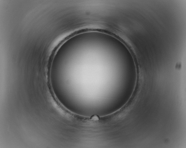 X0000110980935200906191400