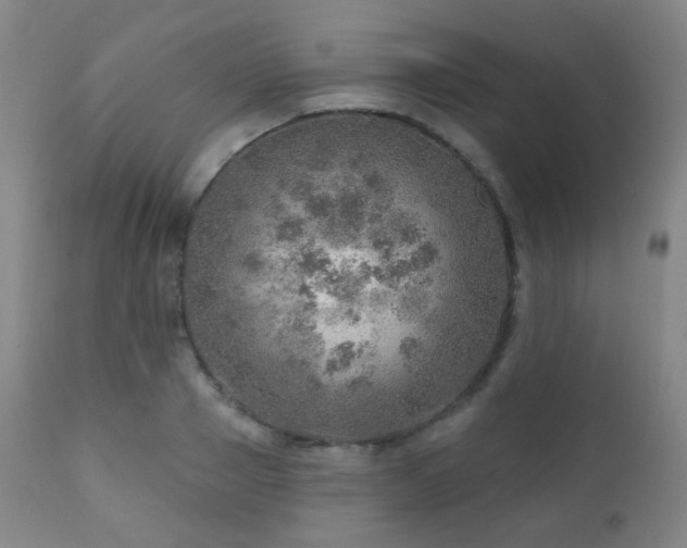 X0000110980937200906191400