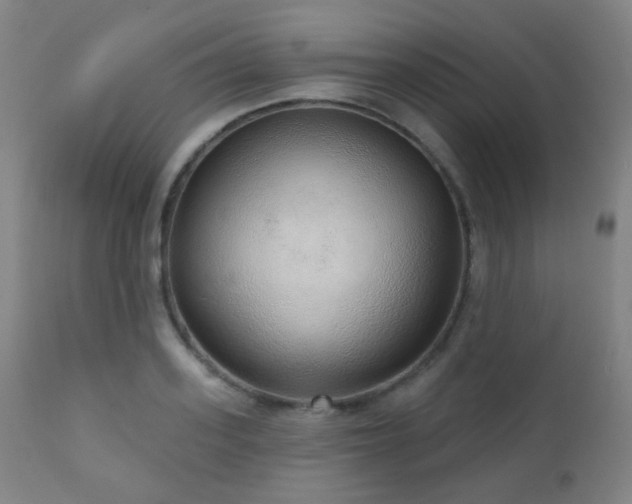 X0000110980939200906191400