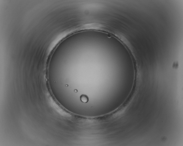 X0000110980941200906191400