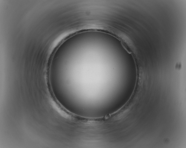 X0000110980942200906191400