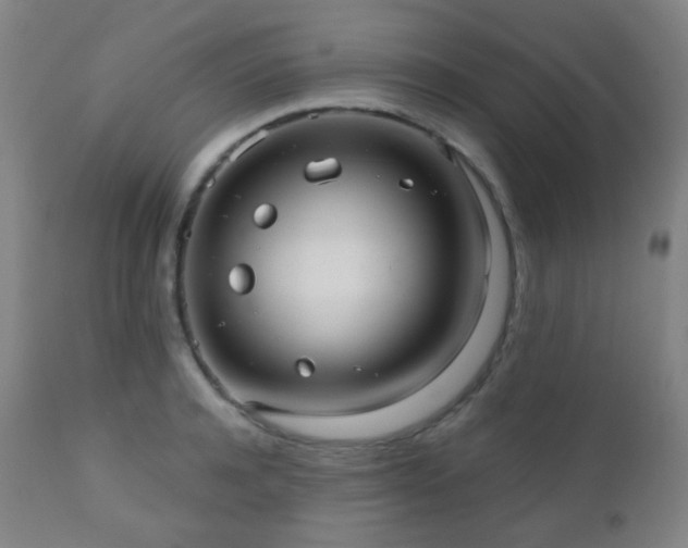 X0000110980944200906191400