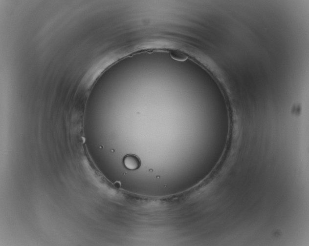 X0000110980945200906191400