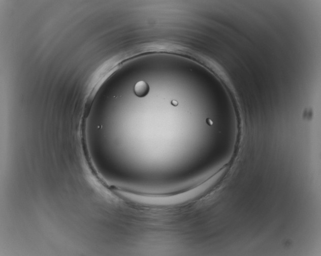 X0000110980946200906191400