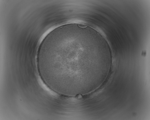 X0000110980947200906191400