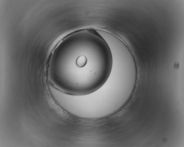 X0000110980948200906191400